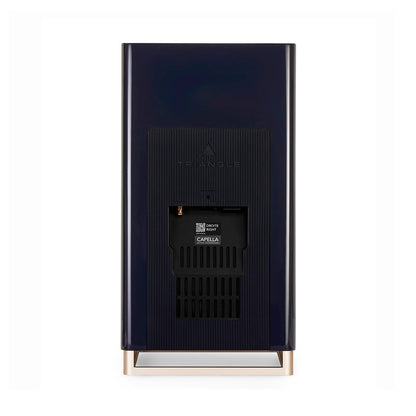 Triangle Capella 2 WiFi & Bluetooth Active Speakers