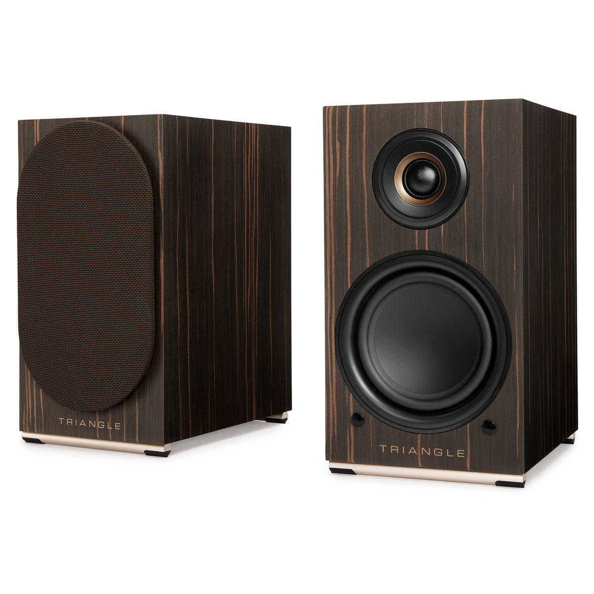 Triangle AIO Twin Active Speakers