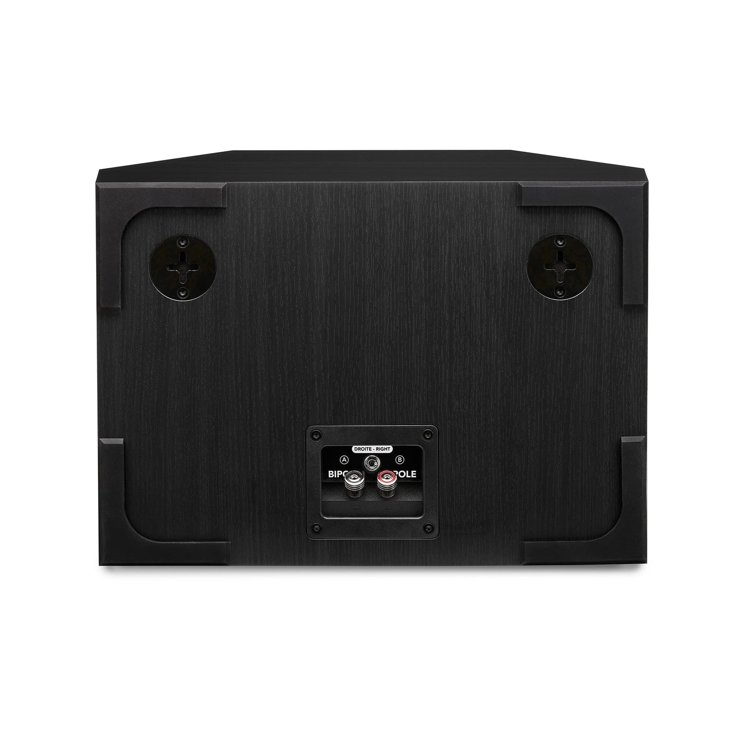 Triangle Borea BRS1 Passive Wall Speakers