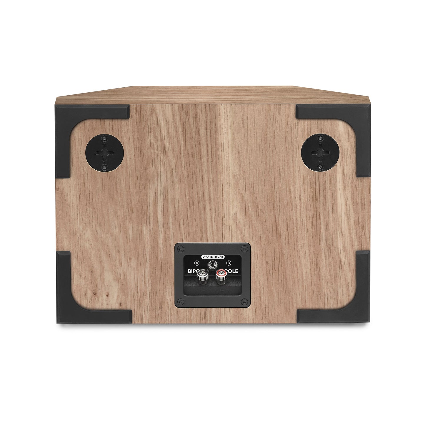 Triangle Borea BRS1 Passive Wall Speakers