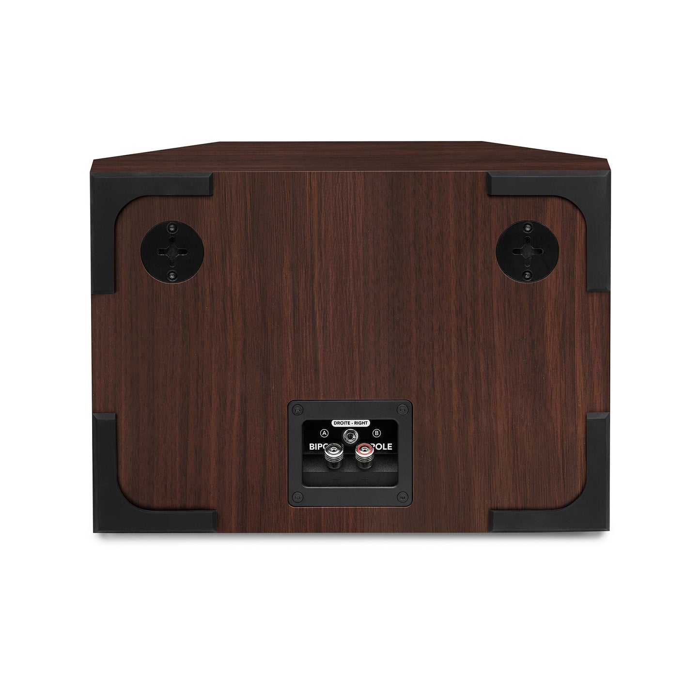 Triangle Borea BRS1 Passive Wall Speakers