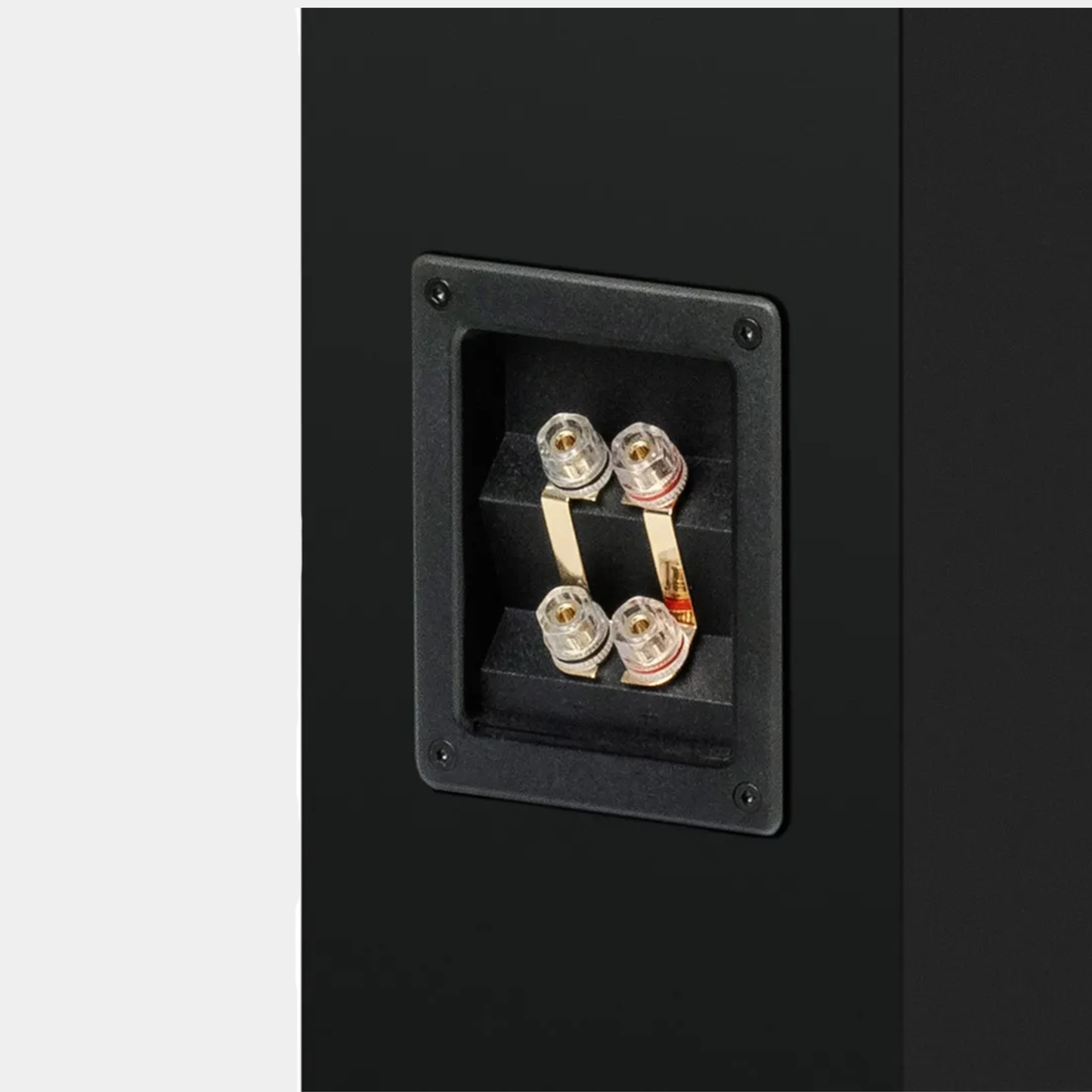 Pro-Ject Speaker Box 12 E Carbon Floorstanders