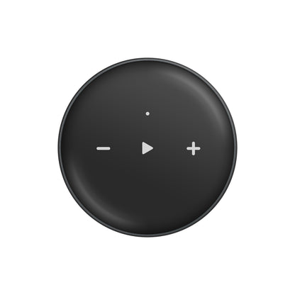 Wiim Mini Compact Music Streamer