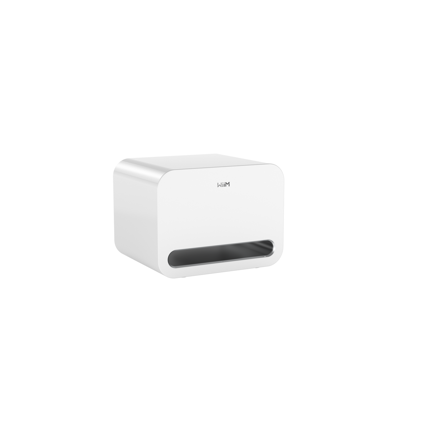 Wiim Sub Pro Subwoofer