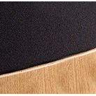 Lyngdorf Cue-100 Gabriel Loudspeaker