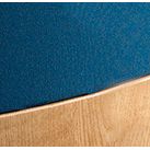 Lyngdorf Cue-100 Gabriel Loudspeaker