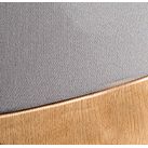 Lyngdorf Cue-100 Gabriel Loudspeaker