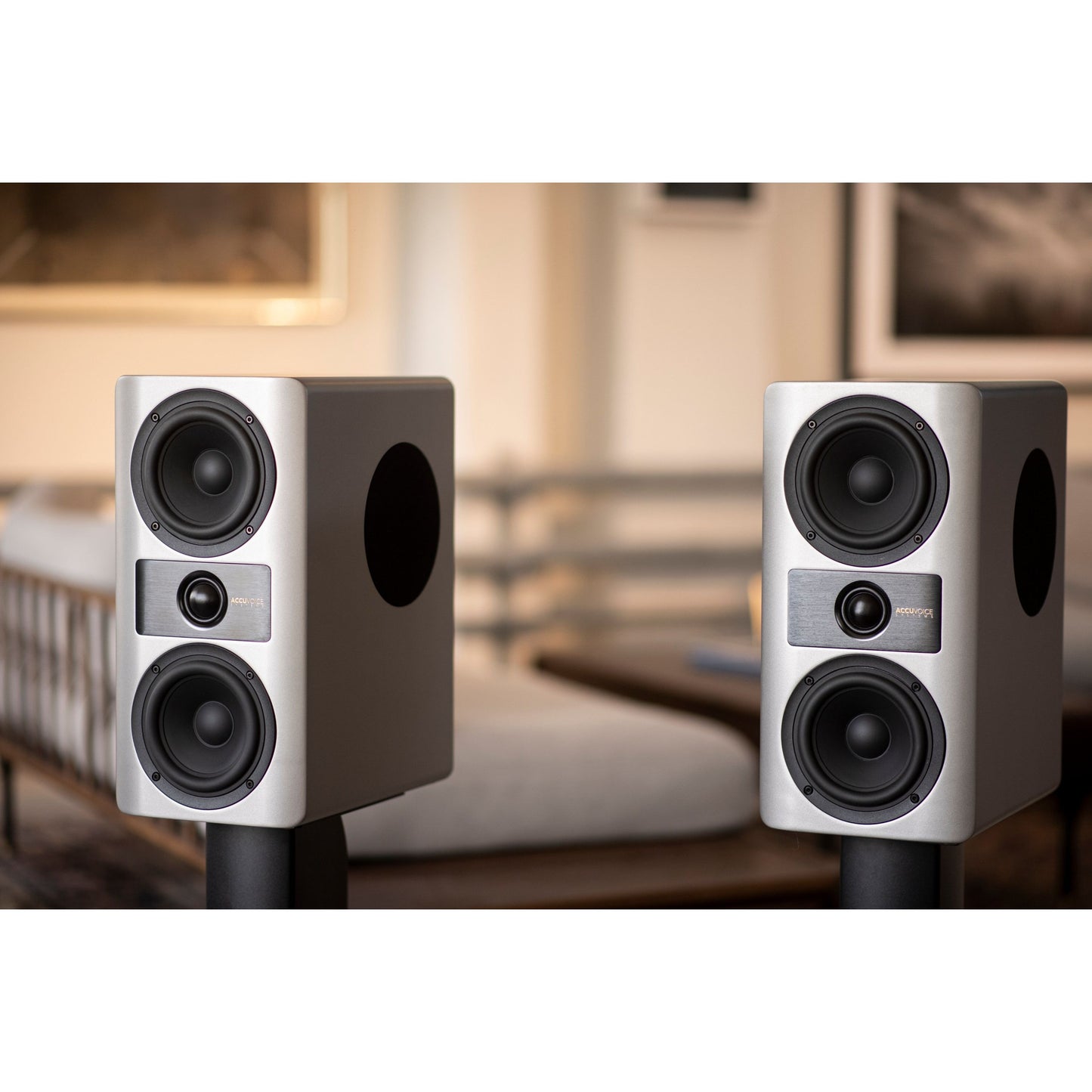 Accuvoice Stream S3 High-End Wireless Active Speaker System