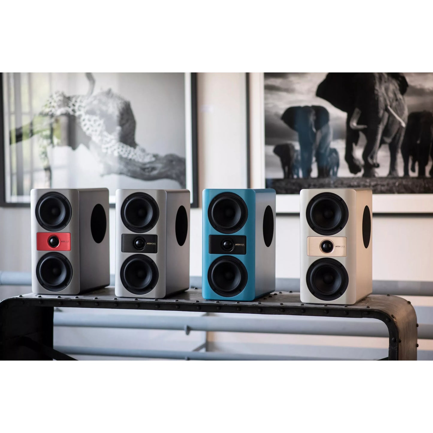 Accuvoice Stream S3 High-End Wireless Active Speaker System