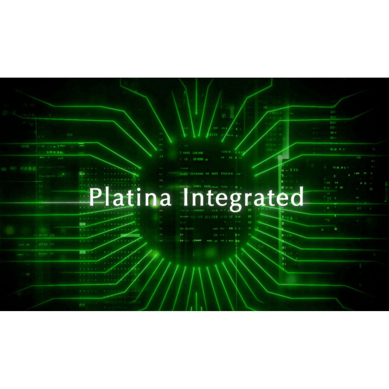 Quad Platina Intergated Amplifier