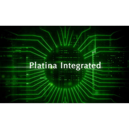 Quad Platina Intergated Amplifier