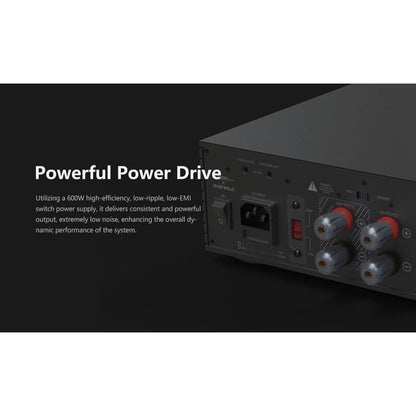 EverSolo AMP-F2 Stereo/Mono Power Amplifier