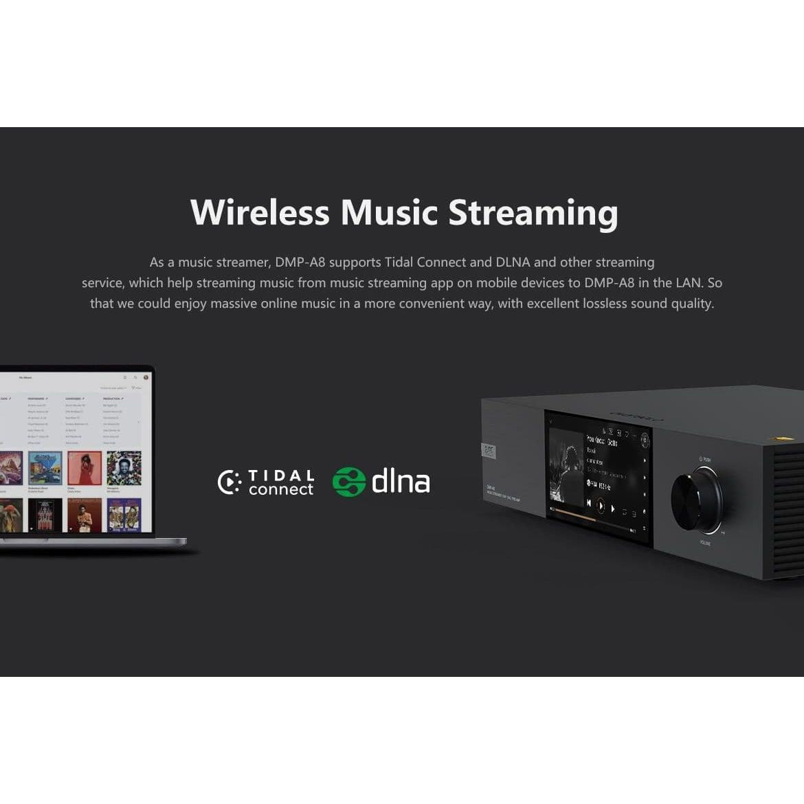 Eversolo DMP-A8 /AMP-F2 Bundle