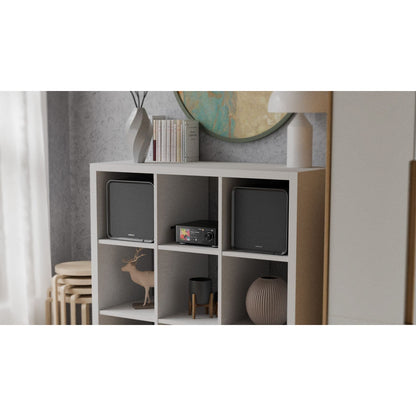 Eversolo SE100 Passive HiFi Bookshelf Speakers