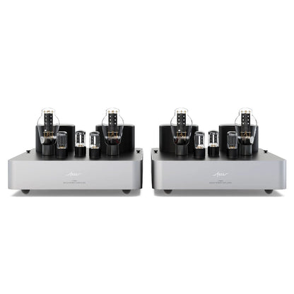 Fezz Audio Lybra MK2 Mono Power Amplifier- Trade In, Tube UP
