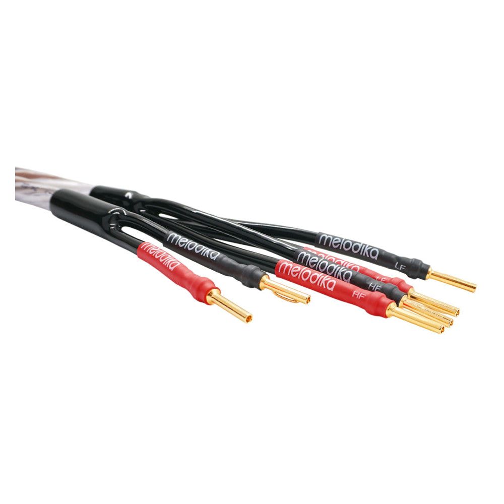 Melodika BSBW225 alternative product and connector detail