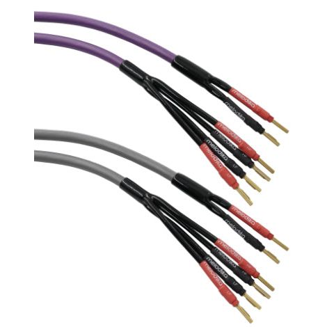Melodika MDBW415 manufacturer catalogue image