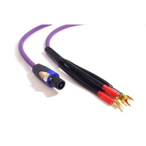 Melodika MDRSUB 2026 manufacturer photo