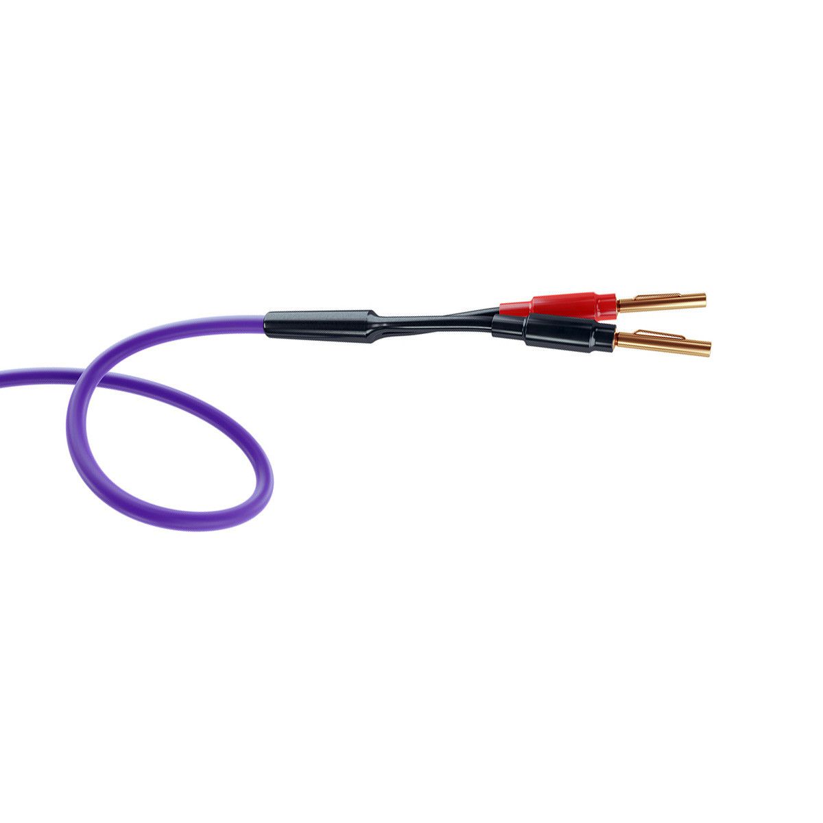 Melodika Purple MDSC15 speaker cable – banana plug construction close-up