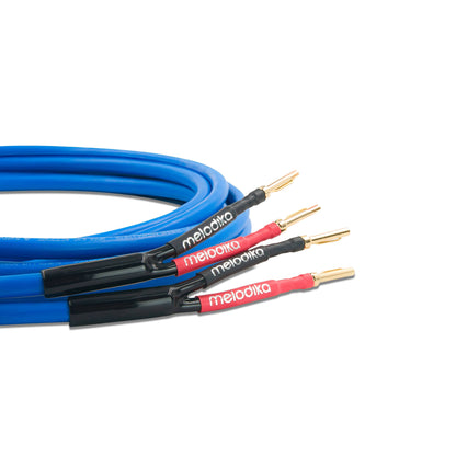 Melodika Sky Blue SBSC15 banana plug view