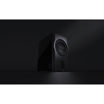 Perlisten Model DS215s Subwoofer