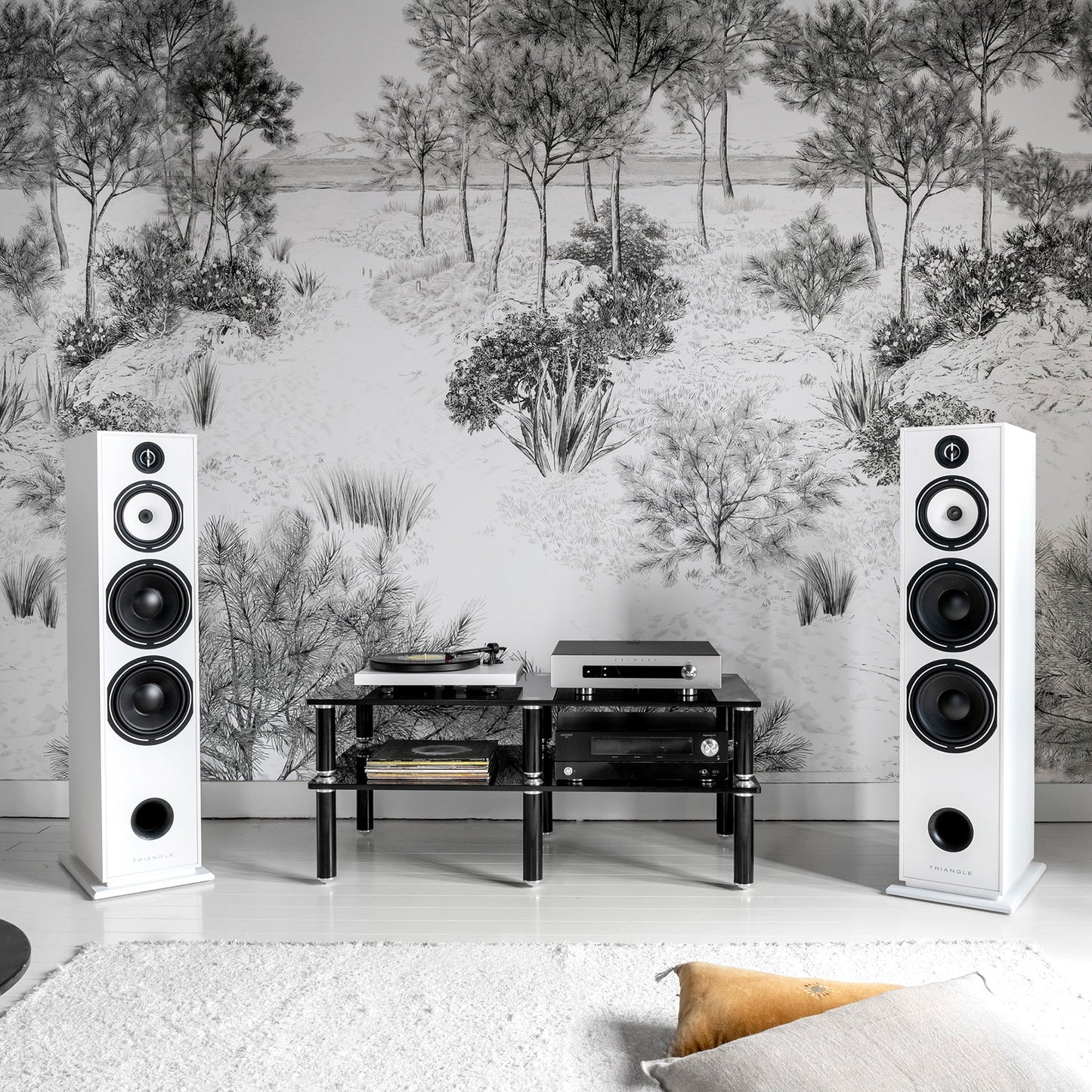 Triangle Borea BR10 Floorstanding Speaker