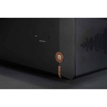 Unison Research DM V2 Power Amplifier