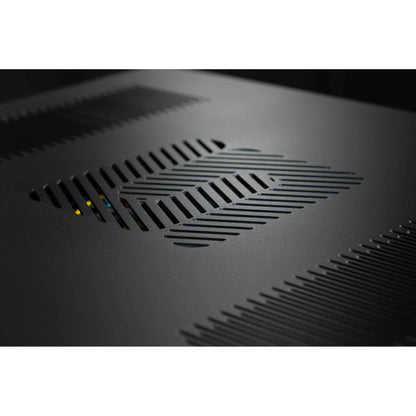 Unison Research DM V2 Power Amplifier