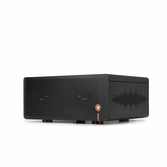 Unison Research DM V2 Power Amplifier