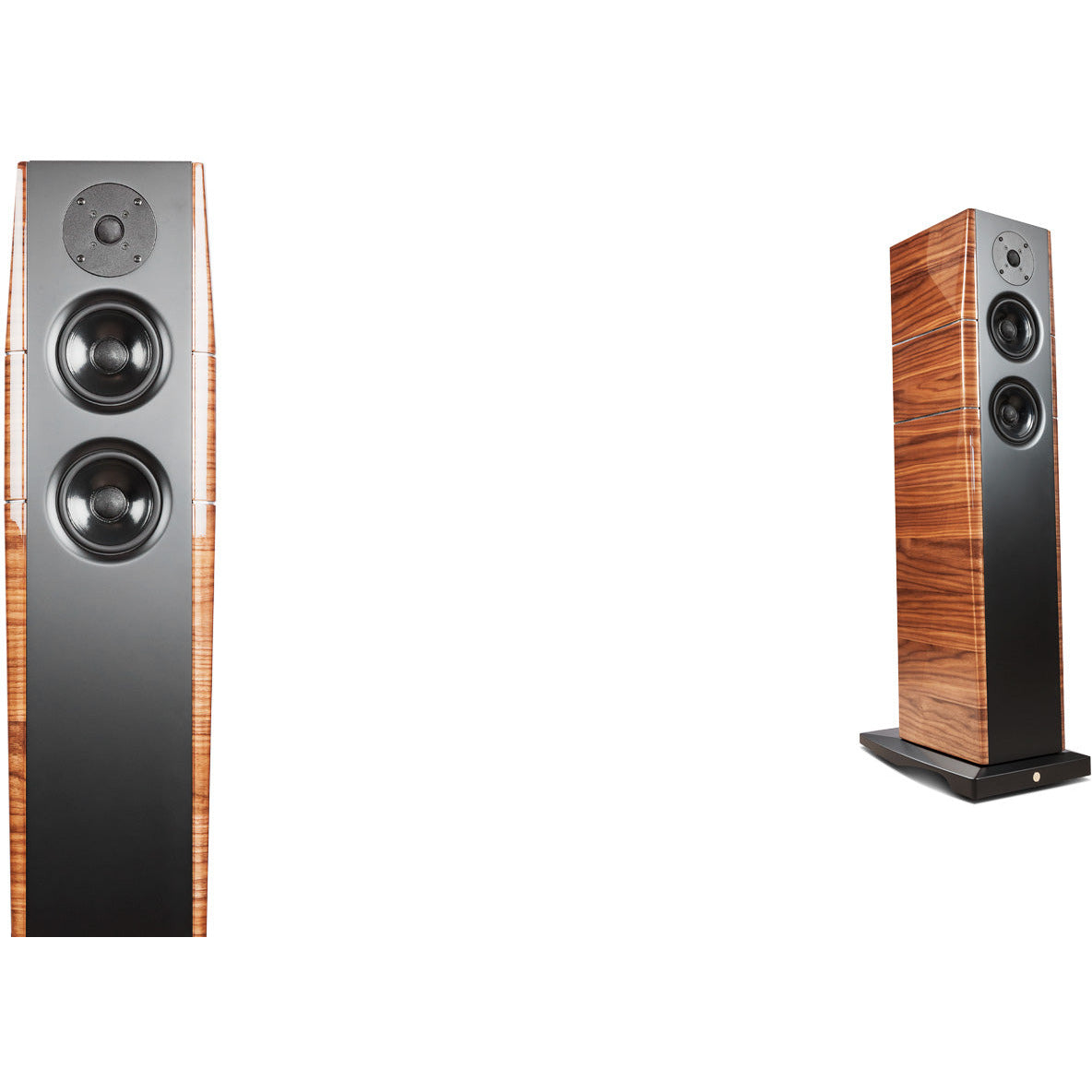 Gold Note A-6 XL EVO Speakers - Kronos AV
