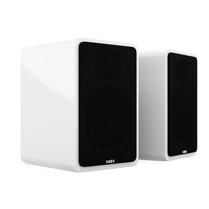 ACOUSTIC ENERGY AE1 Active Speakers