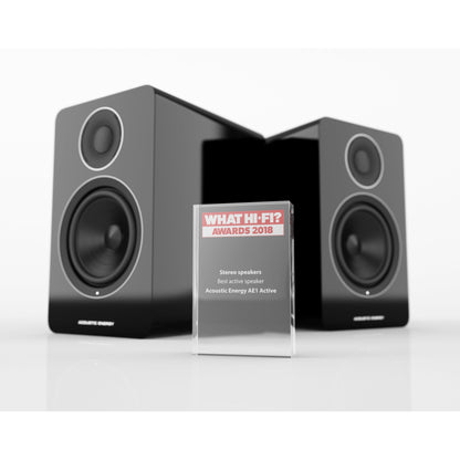 ACOUSTIC ENERGY AE1 Active Speakers (Open Box)