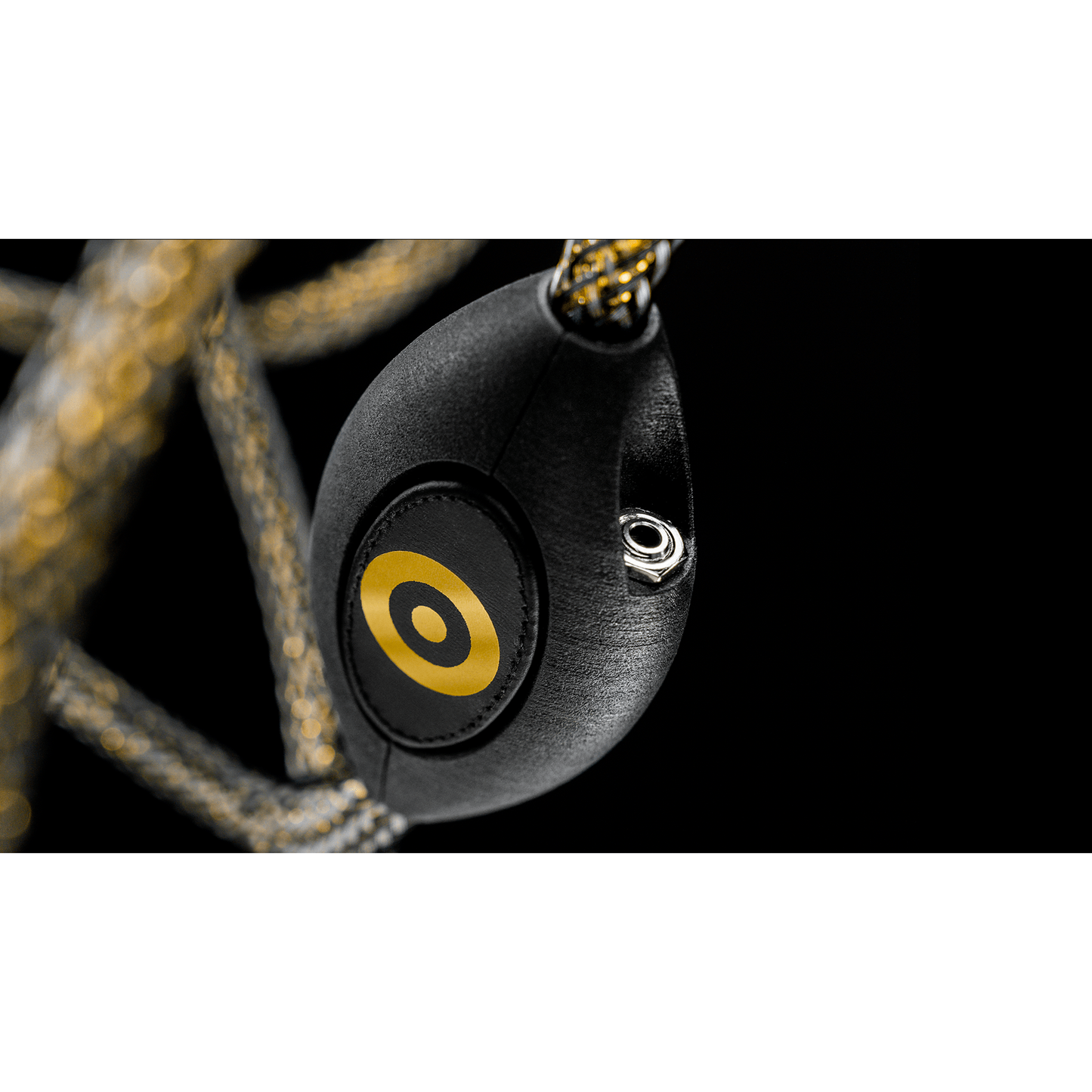 Ansuz Acoustics D-TC Gold Signature Analog Interconnects