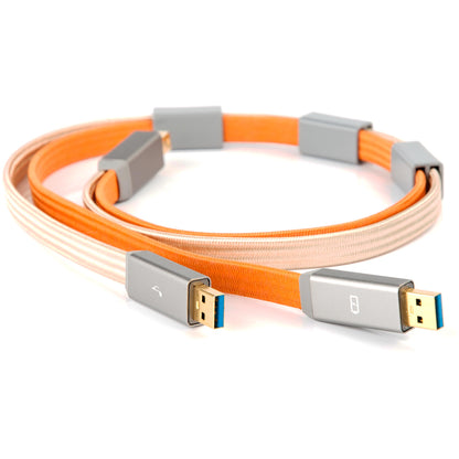 Ifi Gemeni 3.0 Cable