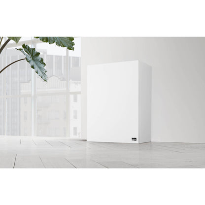 Lyngdorf BW-2 Subwoofer