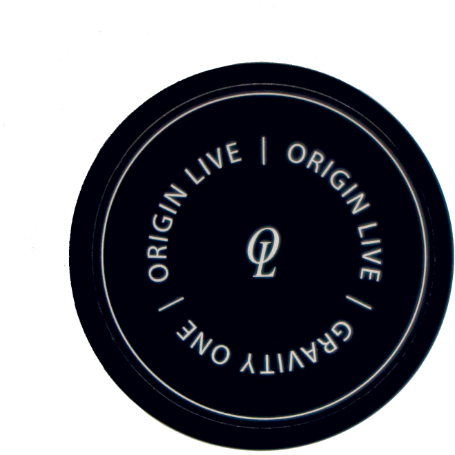 Origin Live Gravity One Record Clamp