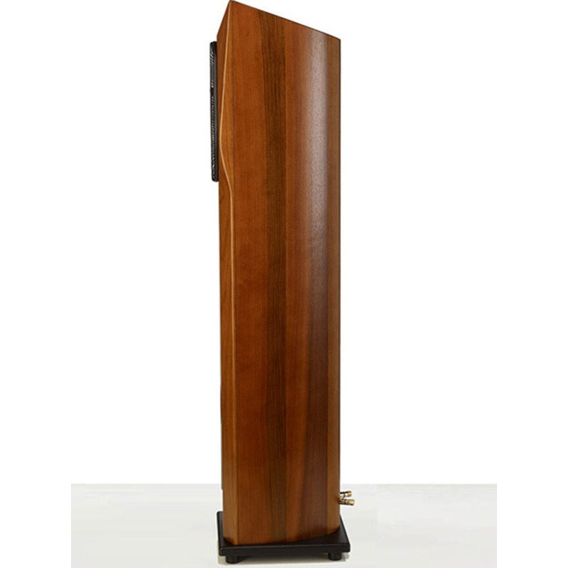 Diapason Ares Excel Floorstanding Loudspeakers