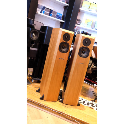 Coincidence Partial Eclipse II Speakers (USED)
