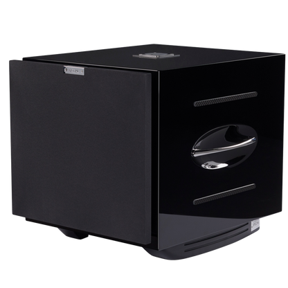 Rel Series S Carbon Special Subwoofer