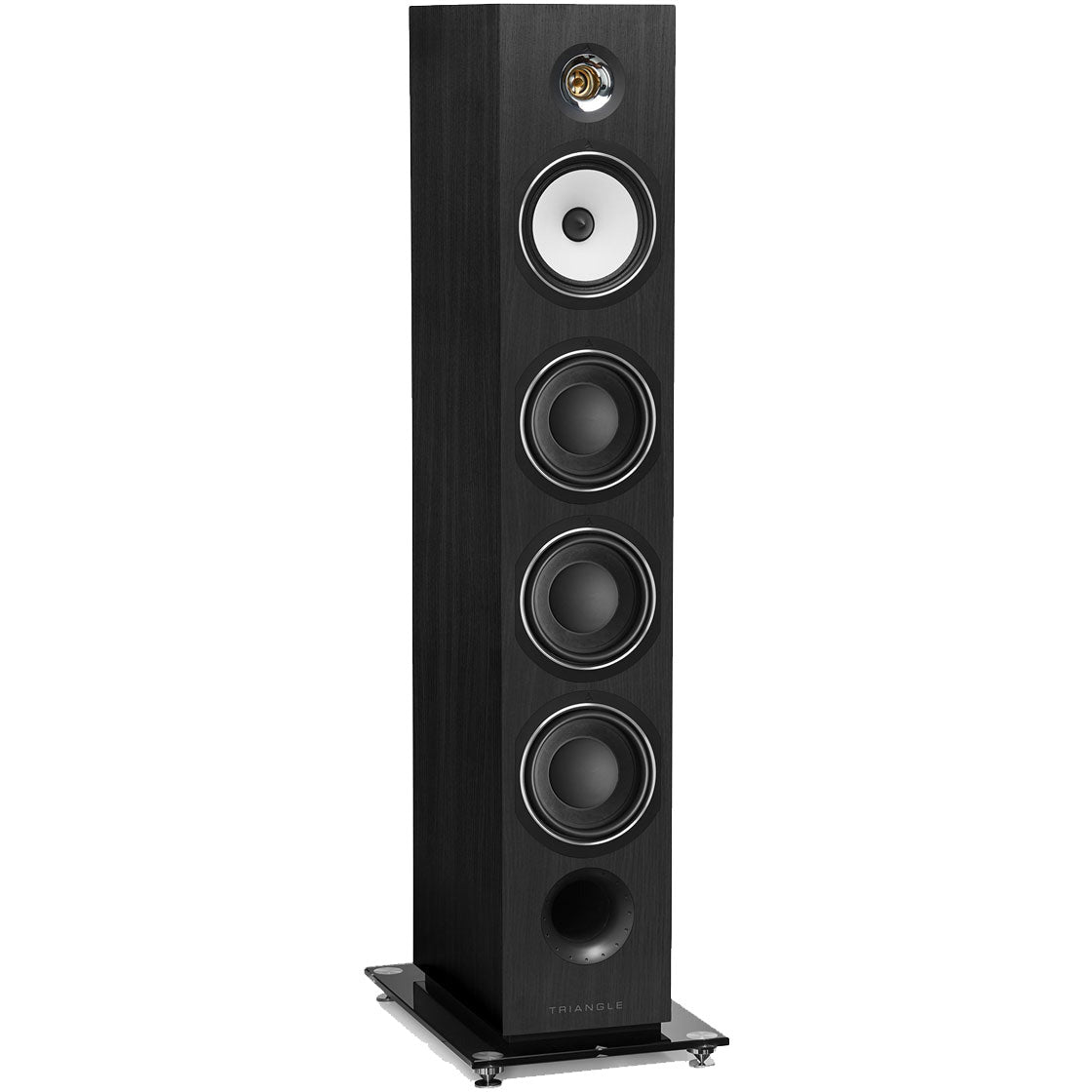 Triangle Esprit Australe EZ Floorstanding Speakers