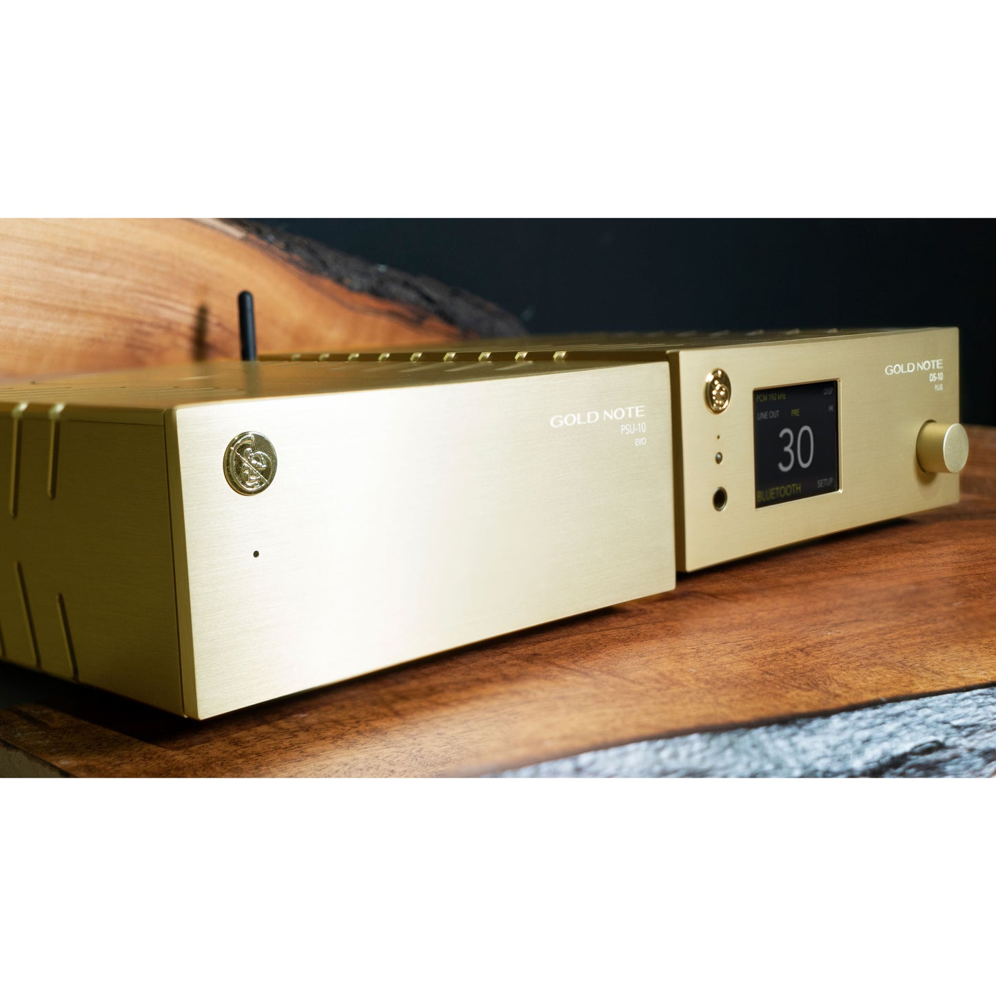 Gold Note PA-10 & DS-10 EVO Combo